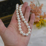 Shell Pearl Necklace - Medium Single Strand
